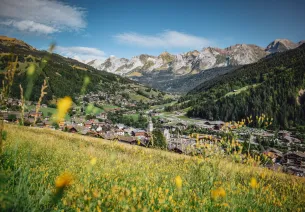 Le Grand-Bornand und Grand-Bornand Chinaillon